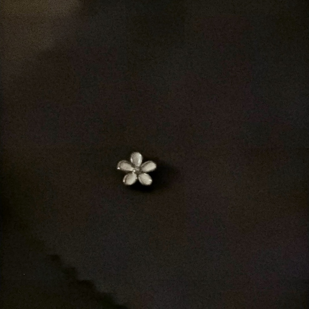 Petite daisy charm pandora